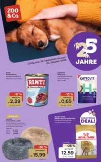 Zoo & Co. Prospekt Cover